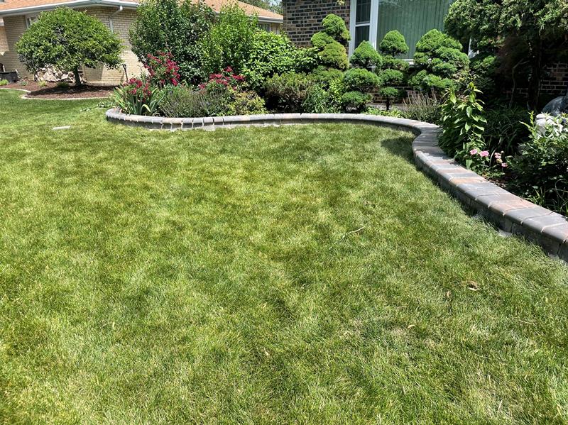Zuniga Landscaping Bolingbrook, IL